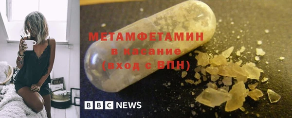 прущие грибы Нефтекумск