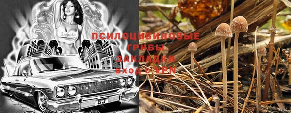 PSILOCYBIN Алексеевка