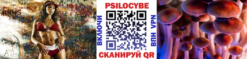 Галлюциногенные грибы Psilocybine cubensis  Новоаннинский 